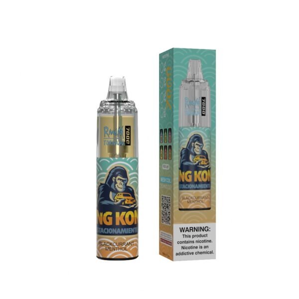 Blackcurrant Menthol – Bild 2