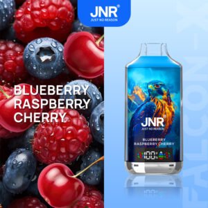 JNR Falcon X 18000 Blueberry Raspberry