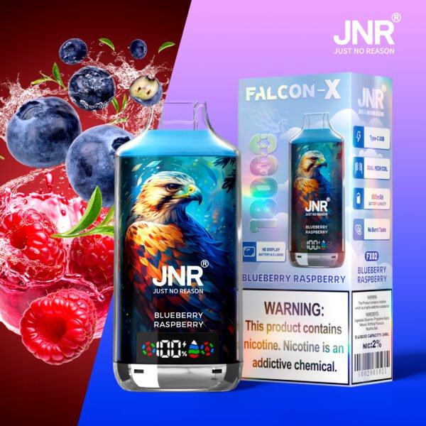 JNR Falcon X 18000 Blueberry Raspberry – Bild 3